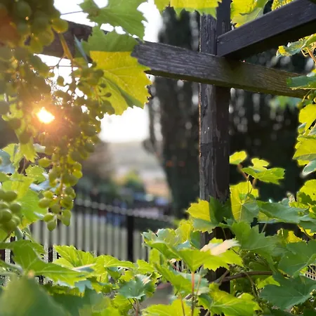 Cozy For Two Daire *