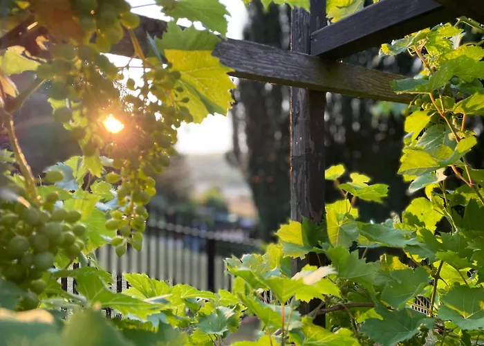 Cozy For Two Daire *